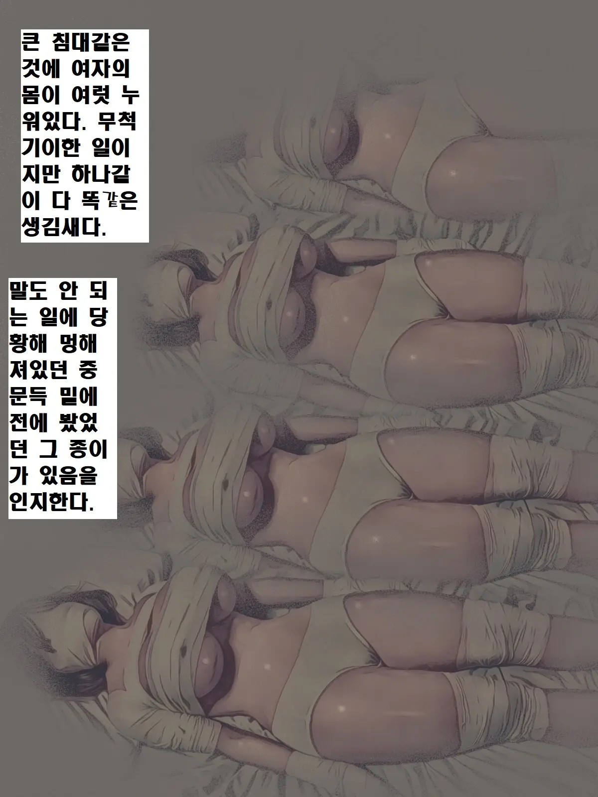 Meisekimu No Haikyo | 자각몽의 폐허